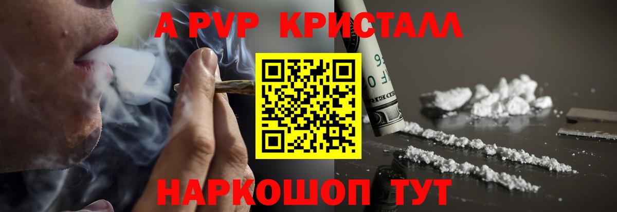 A PVP СК КРИС Туапсе