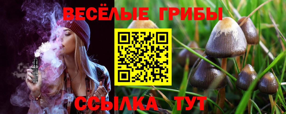 Туапсе  Галлюциногенные грибы Cubensis  Вход с VPN 